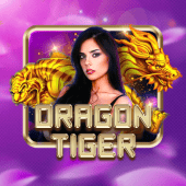 Dragon Tiger live Color Game Land Login