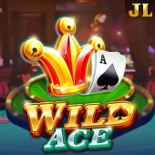 Wild Ace Color Game Land Slot